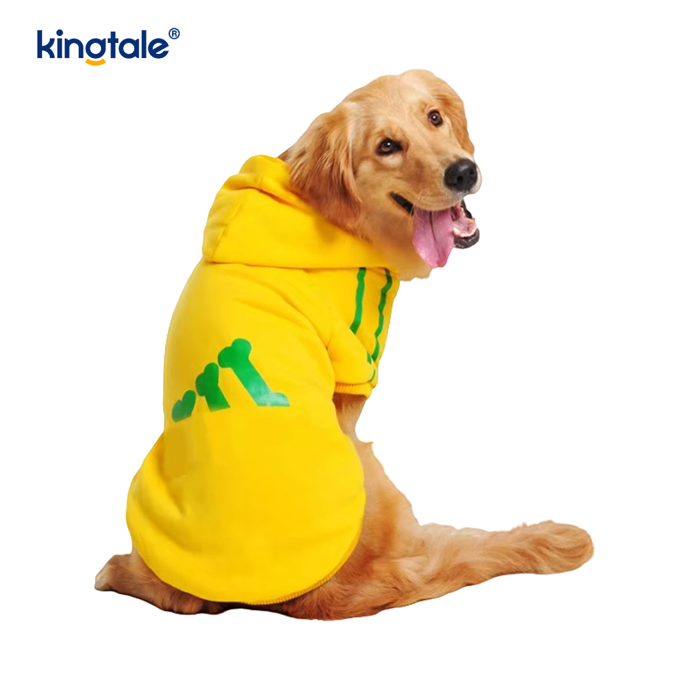 Moletons para cães