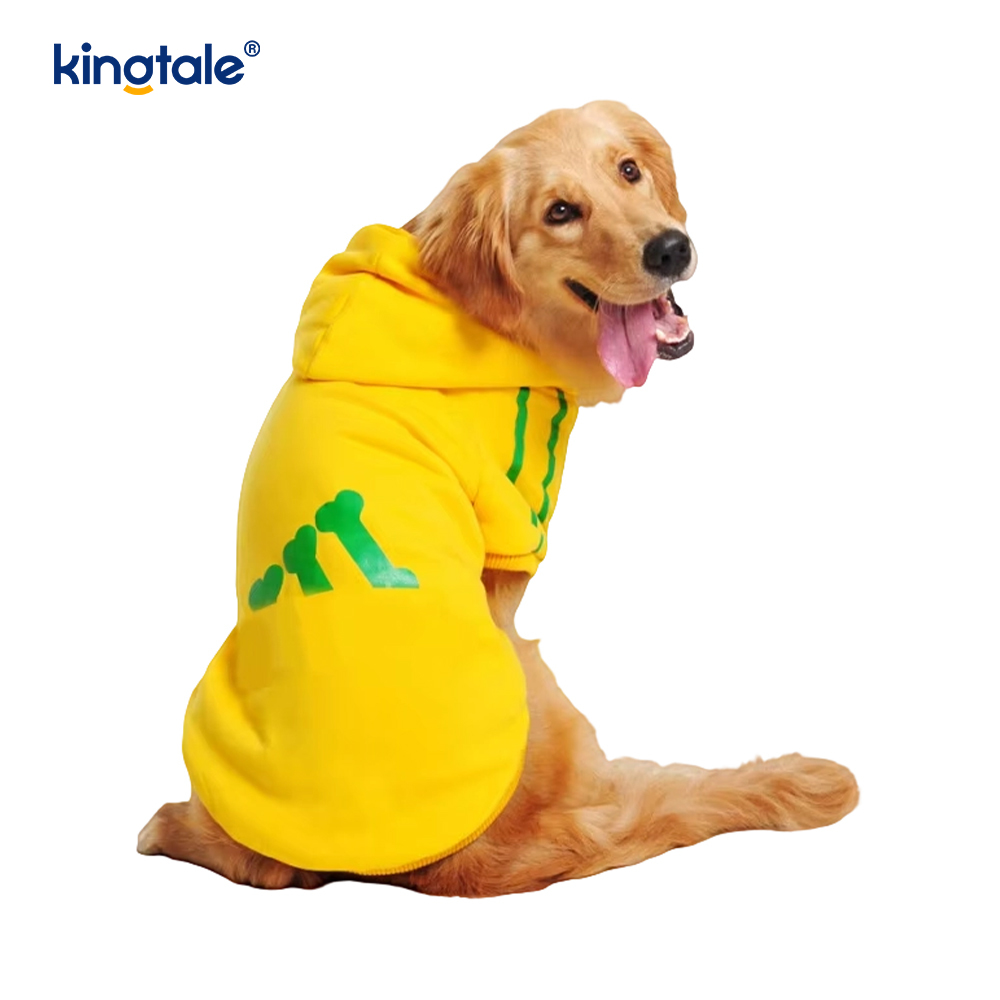 Moletons para cães