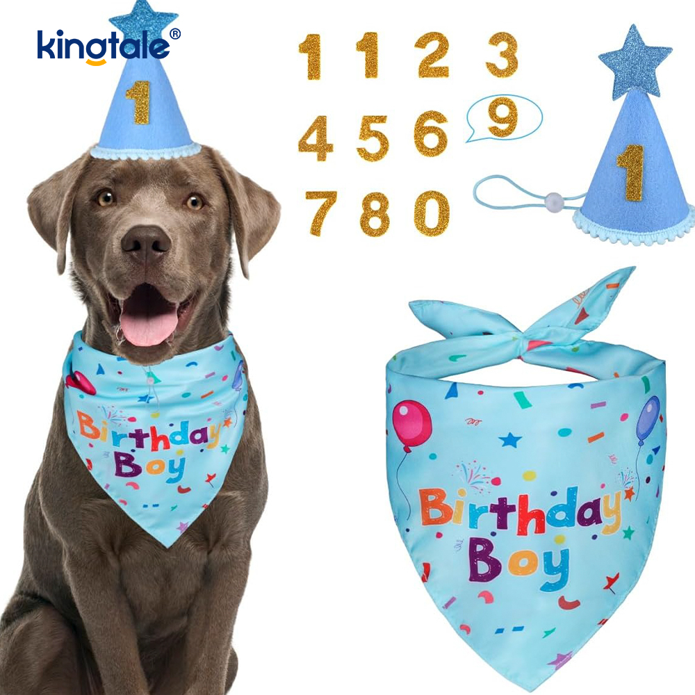 Conjunto de bandana de aniversário para animais de estimação