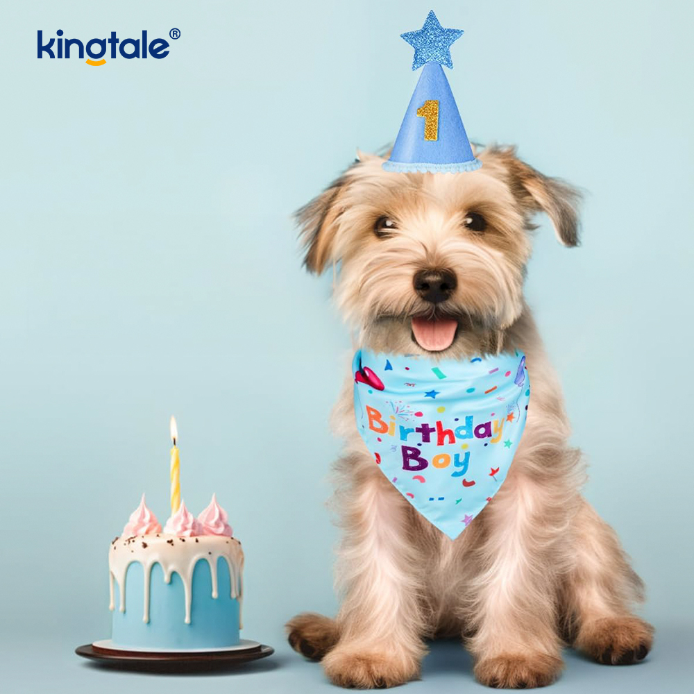 Conjunto de bandana de aniversário para animais de estimação
