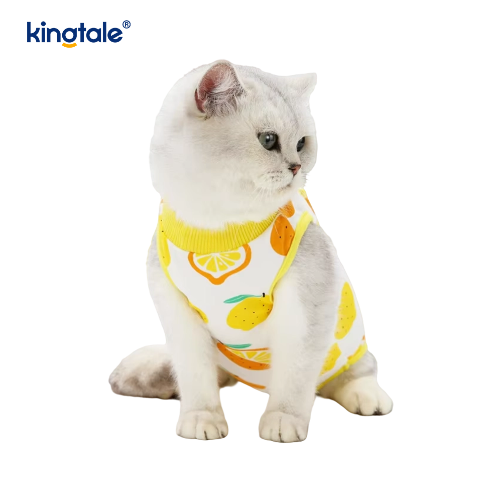 Roupas de recuperação para cães