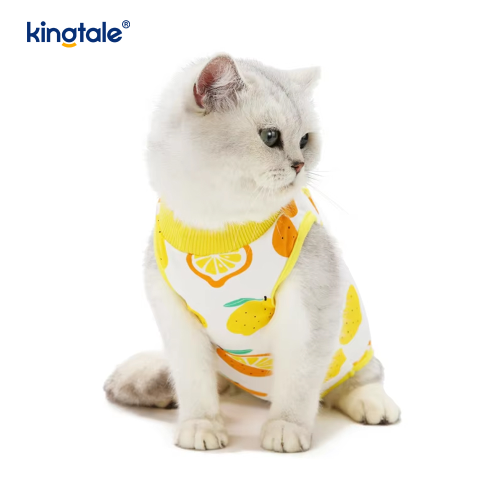 Roupas de recuperação para cães
