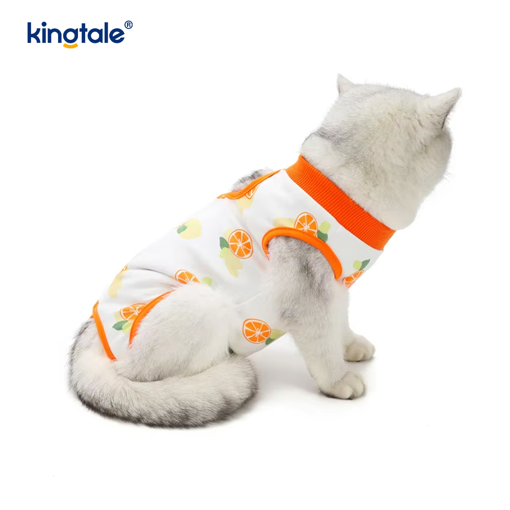 Roupas de recuperação para cães