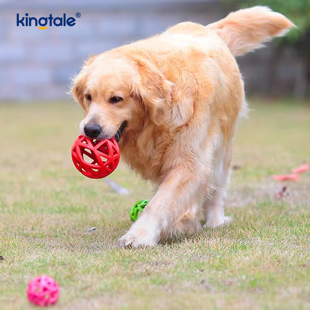 Bola de brinquedo de borracha oca para animais de estimação