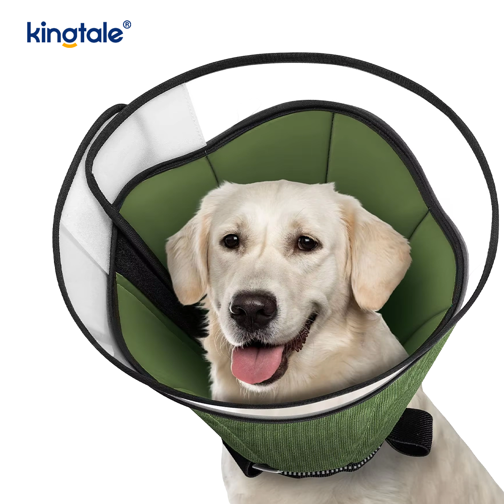 Cone macio para cães após cirurgia
