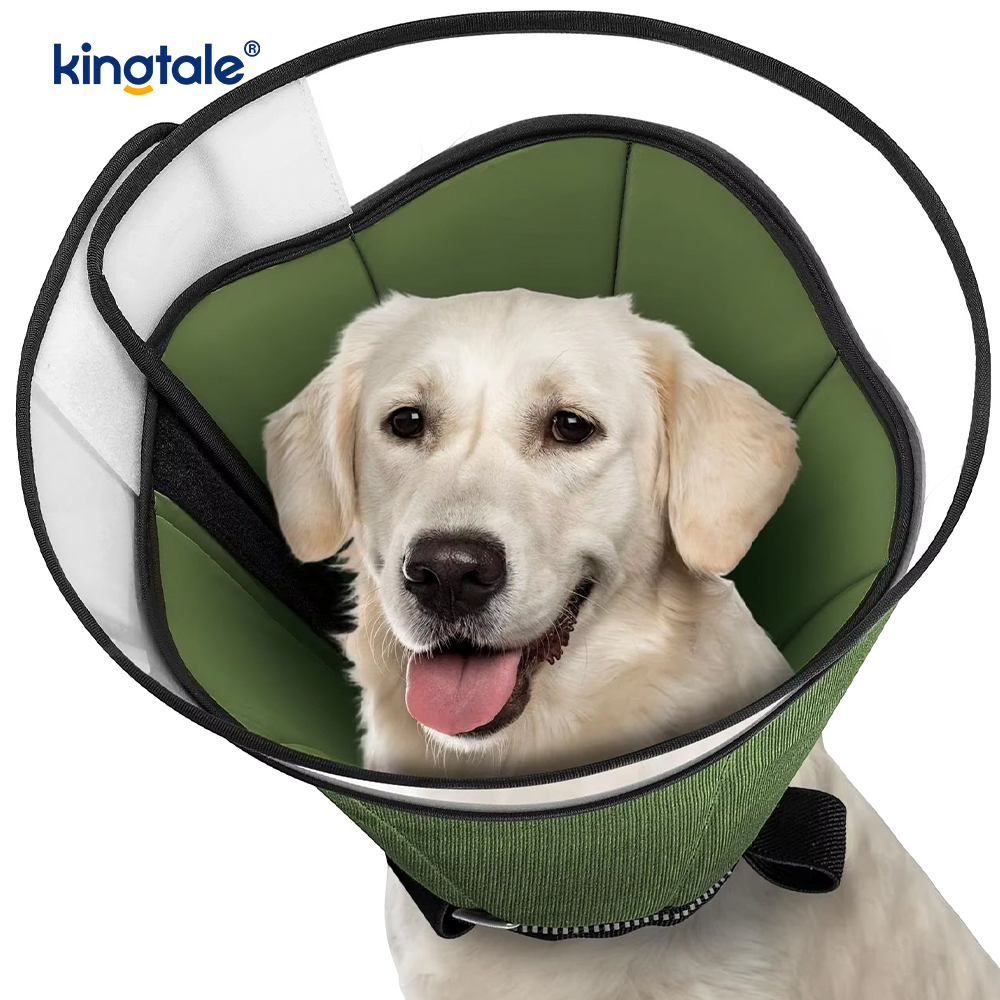 Cone macio para cães após cirurgia