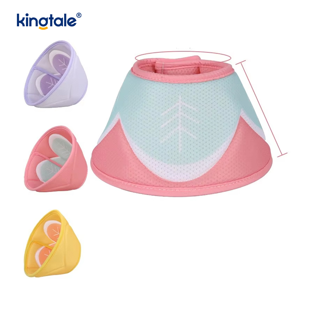 Coleira de cone para cachorro após cirurgia