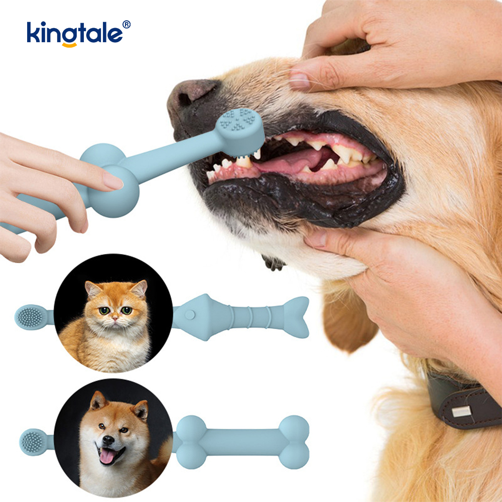 Nova escova de dentes para animais de estimação projetada para limpar os dentes e ajudar a prevenir o tártaro