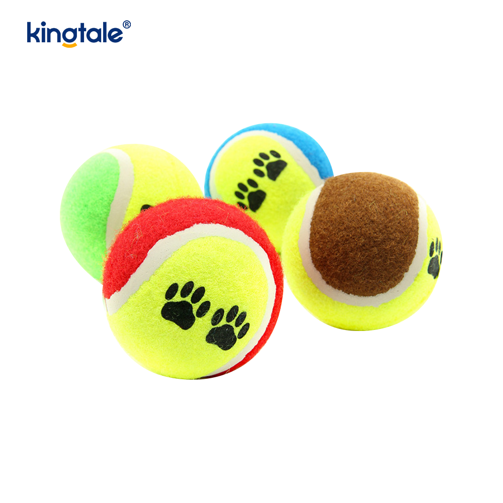 Tênis de brinquedo para animais de estimação durável e resistente a mordidas para exercícios interativos de mastigação de animais de estimação