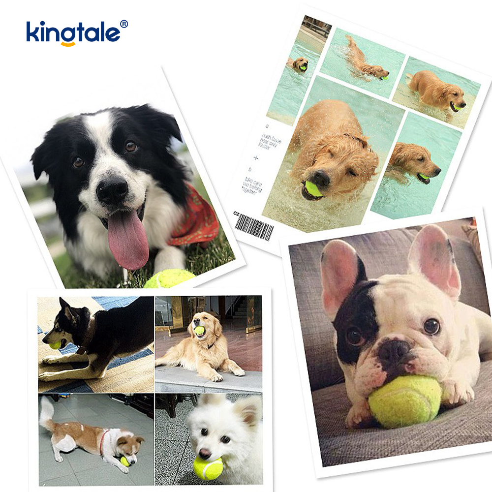 Tênis de brinquedo para animais de estimação durável e resistente a mordidas para exercícios interativos de mastigação de animais de estimação
