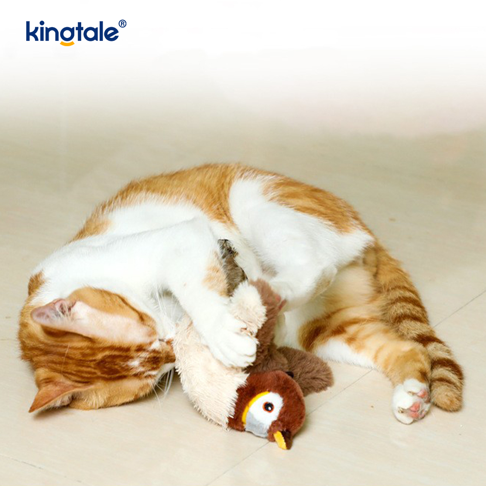 Brinquedo simulado do luxuoso do animal de estimação do pardal para todas as raças gato kicker catnip brinquedos pardal