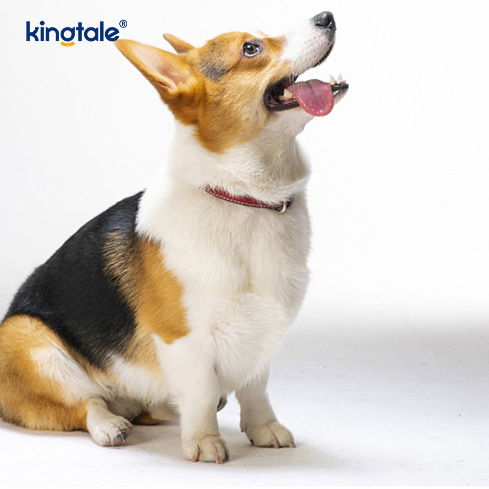 Bola de borracha mastigável extraível para brinquedo de cachorro, interna e externa