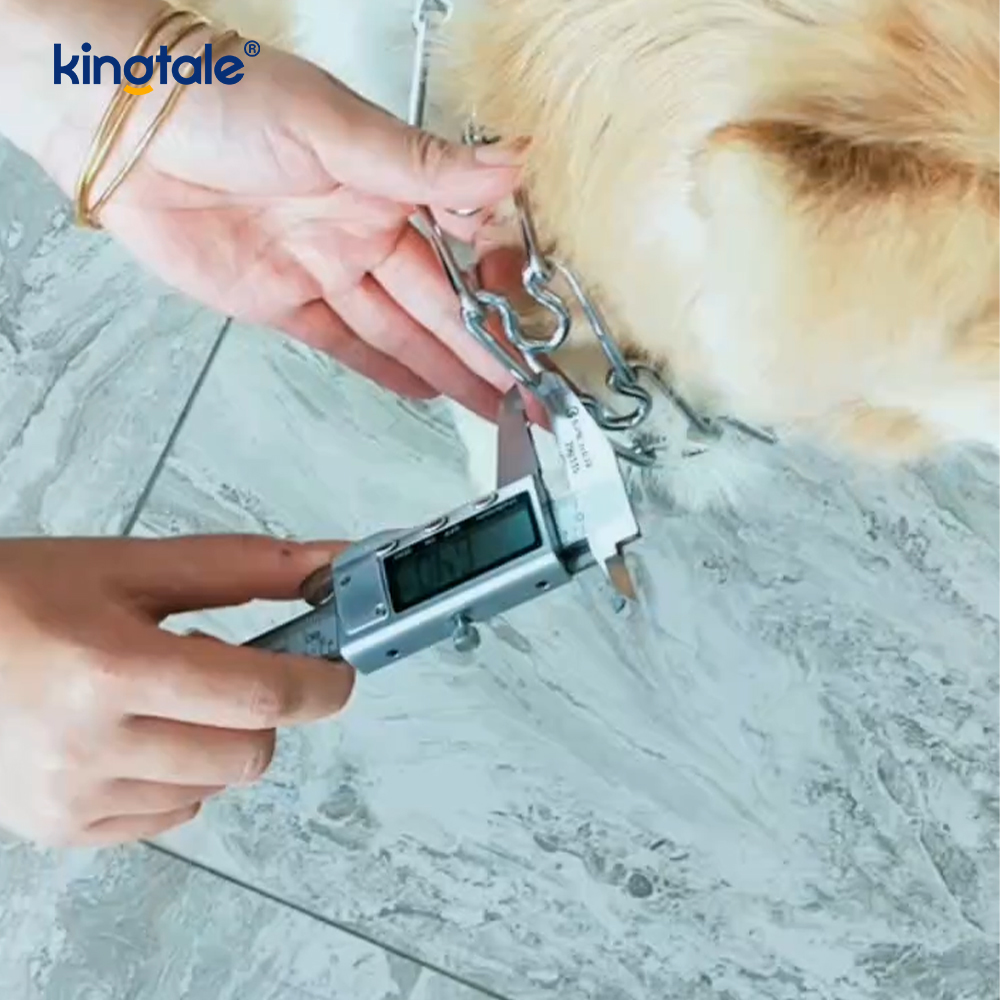 Coleiras de estrangulamento para animais de estimação, aço carbono, metal, coleira de treinamento para cães