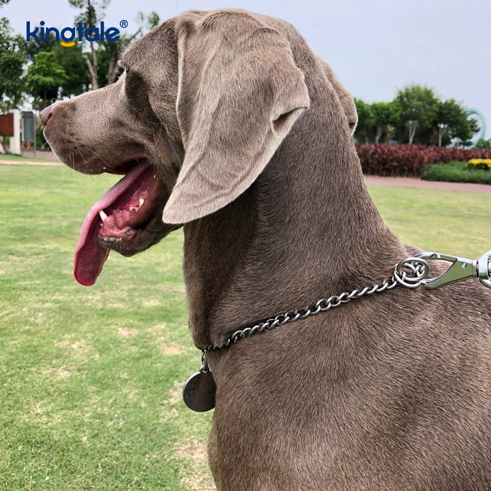 Corrente pesada do deslizamento P da coleira do bloqueador do cão do treinamento do metal para cães