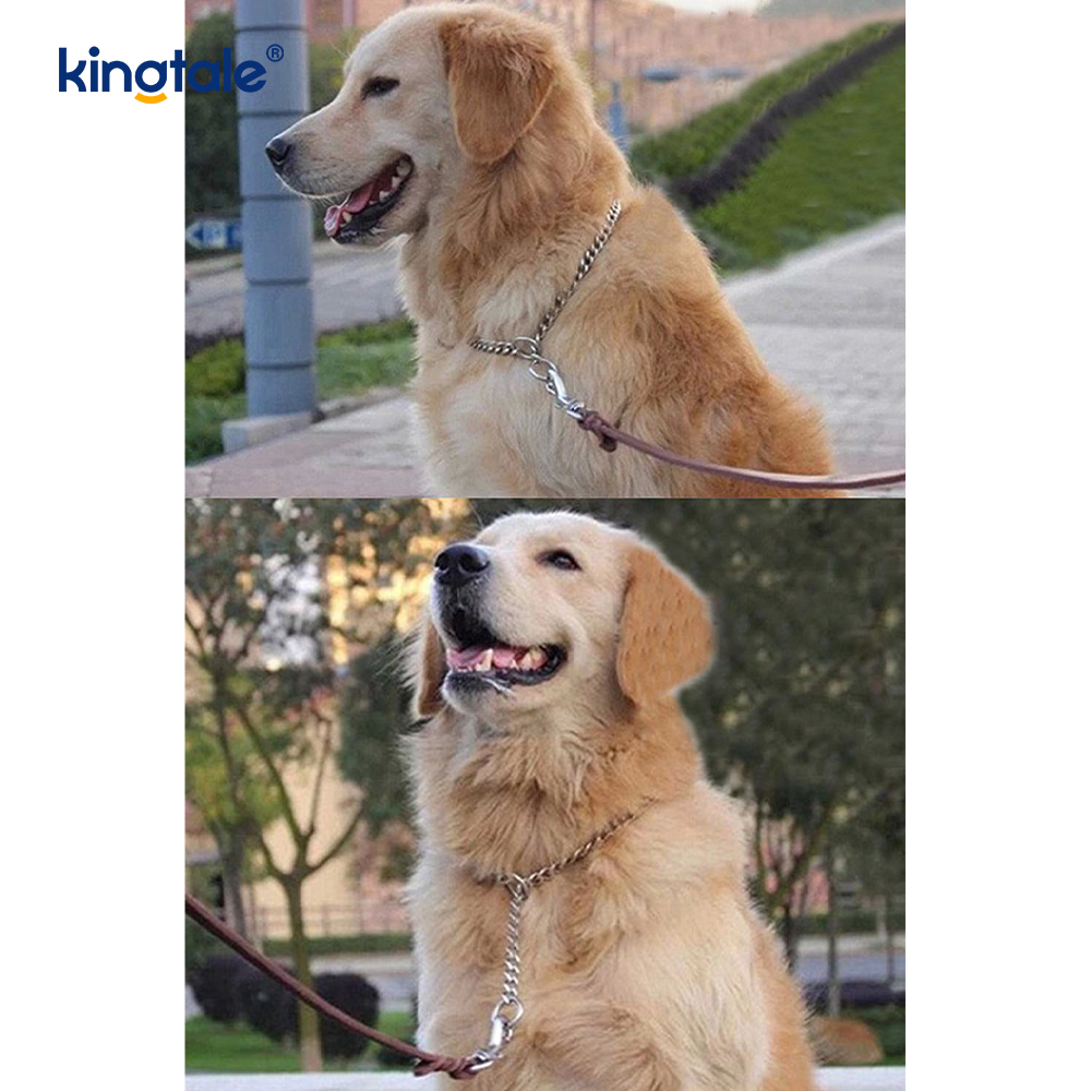 Corrente pesada do deslizamento P da coleira do bloqueador do cão do treinamento do metal para cães