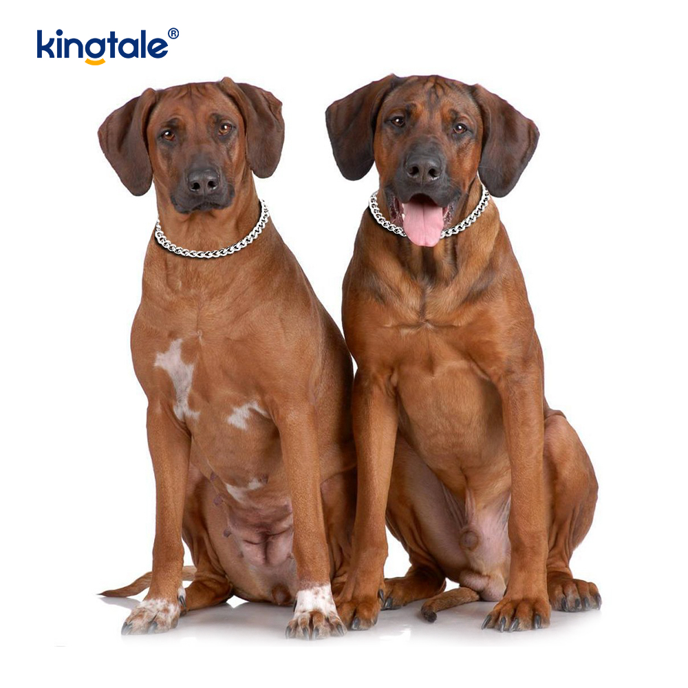 Corrente pesada do deslizamento P da coleira do bloqueador do cão do treinamento do metal para cães