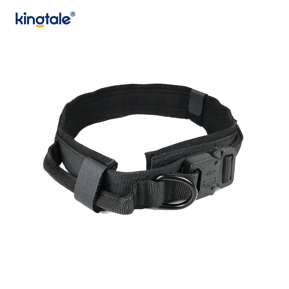 Coleira de cachorro com fivela de metal para serviço pesado Coleira de cachorro resistente