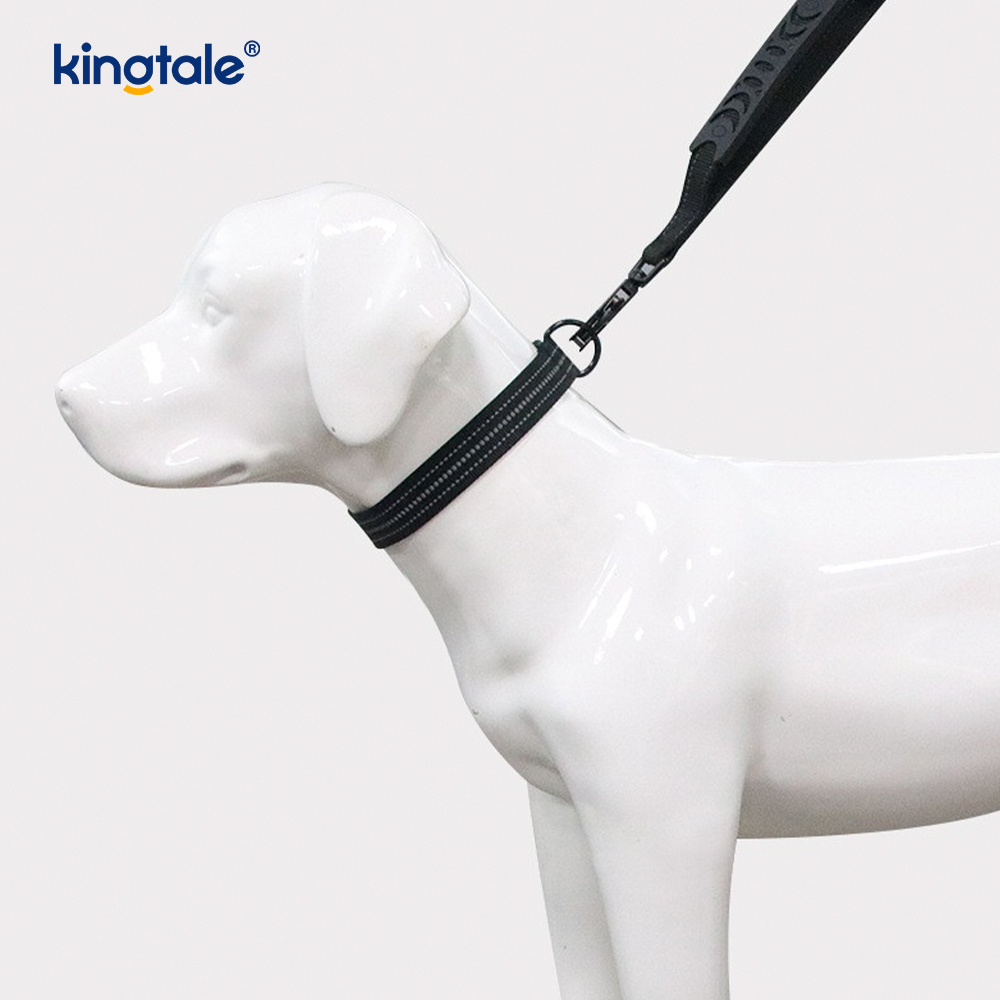 Reflexivo sem tração resistente tático coleira de cachorro trela bungee lead