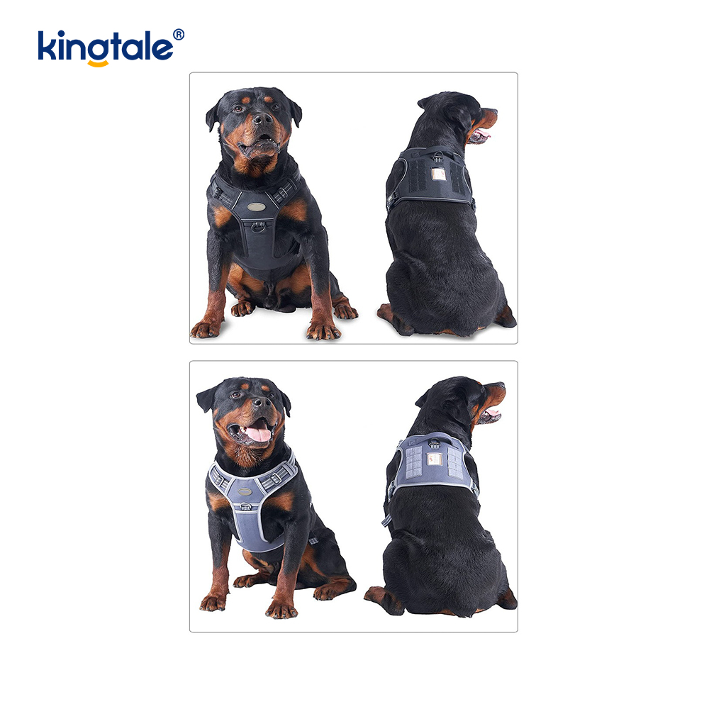 Sólido sem tração Nylon Heavy Duty Dog Belt Vest Training Harnesses Peito