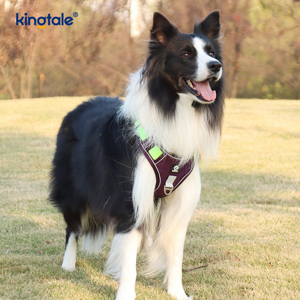 Arnês para animais de estimação com rebite de nylon reflexivo ajustável respirável esportivo Cachorro