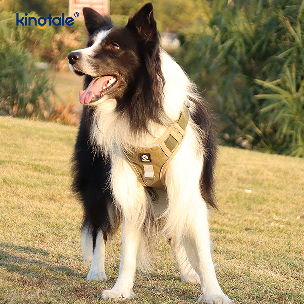 Arnês para animais de estimação com rebite de nylon reflexivo ajustável respirável esportivo Cachorro