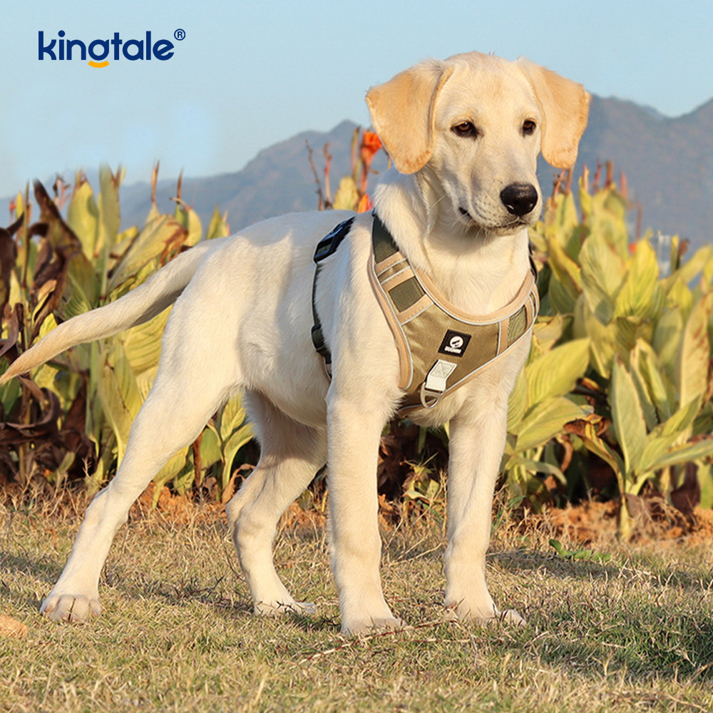 Arnês para animais de estimação com rebite de nylon reflexivo ajustável respirável esportivo Cachorro