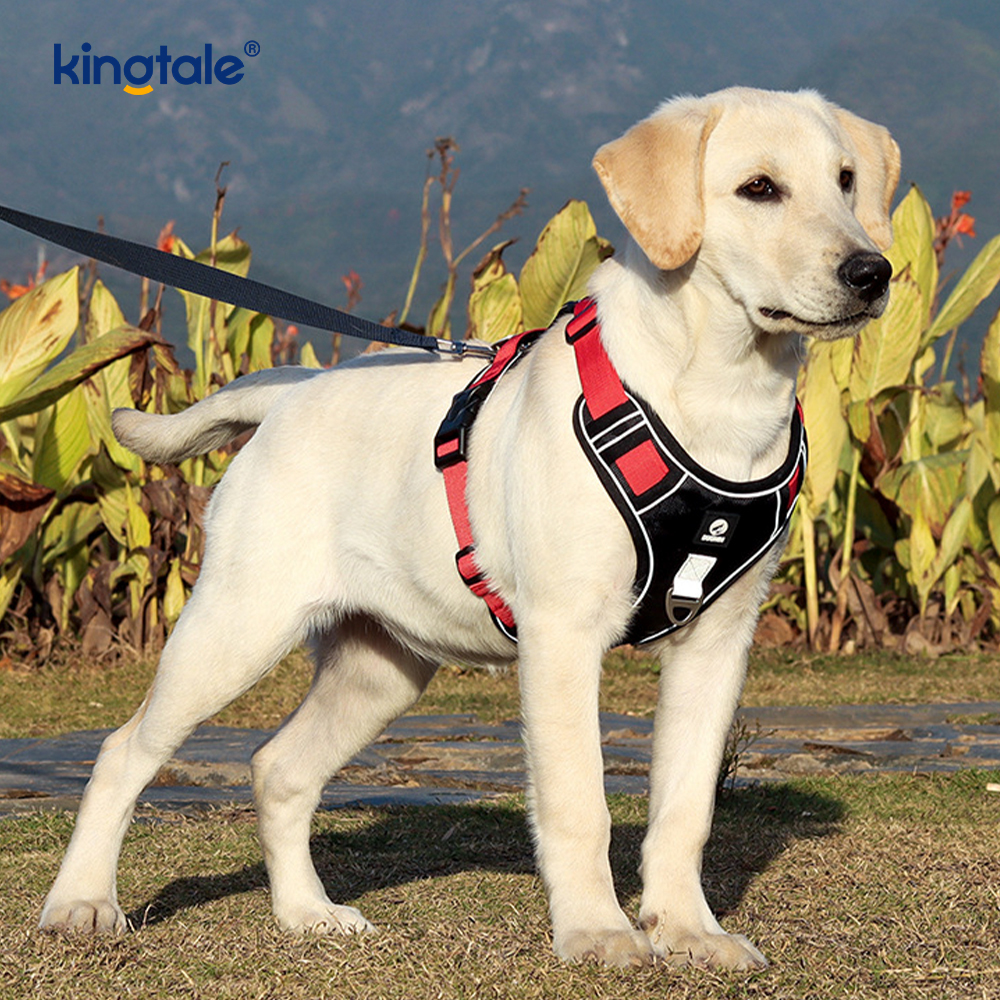 Arnês para animais de estimação com rebite de nylon reflexivo ajustável respirável esportivo Cachorro