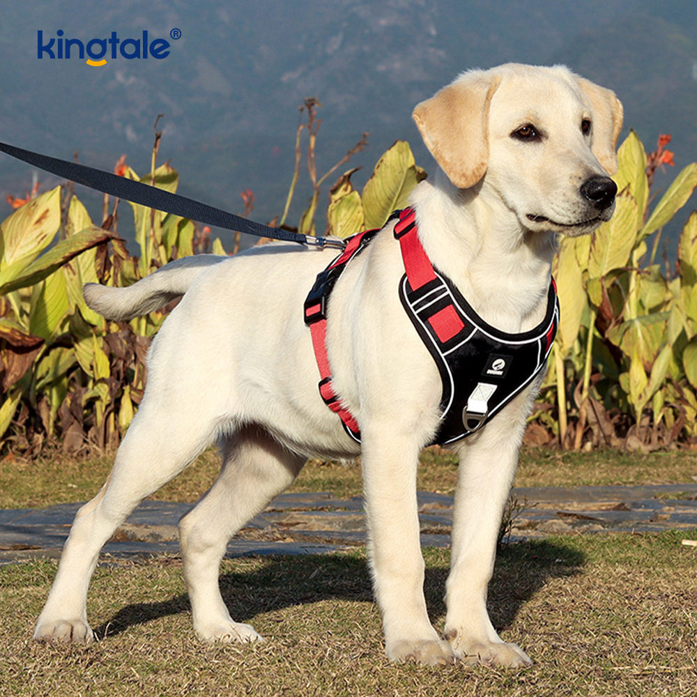 Arnês para animais de estimação com rebite de nylon reflexivo ajustável respirável esportivo Cachorro