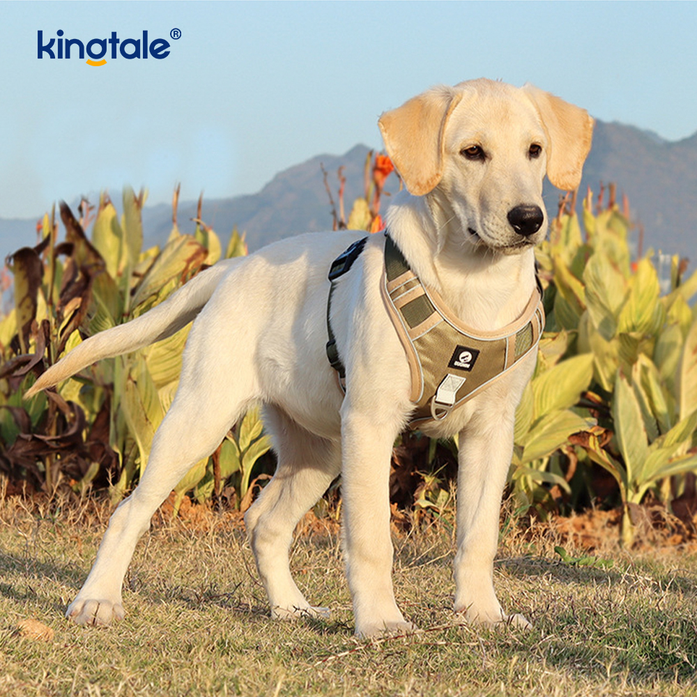 Arnês para animais de estimação com rebite de nylon reflexivo ajustável respirável esportivo Cachorro