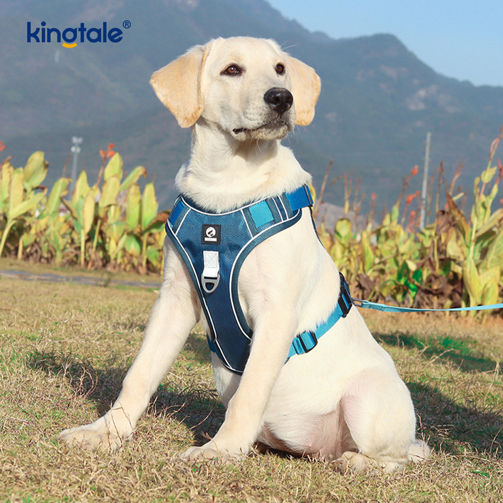 Arnês para animais de estimação com rebite de nylon reflexivo ajustável respirável esportivo Cachorro