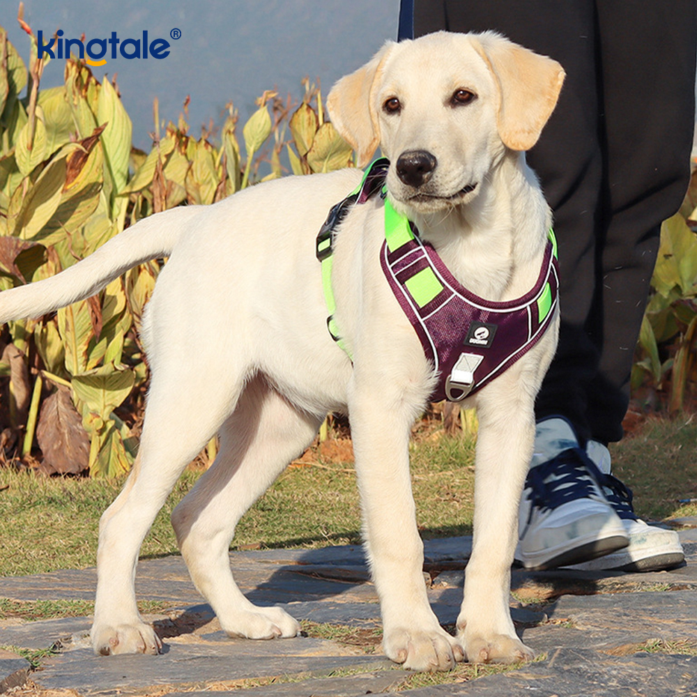 Arnês para animais de estimação com rebite de nylon reflexivo ajustável respirável esportivo Cachorro