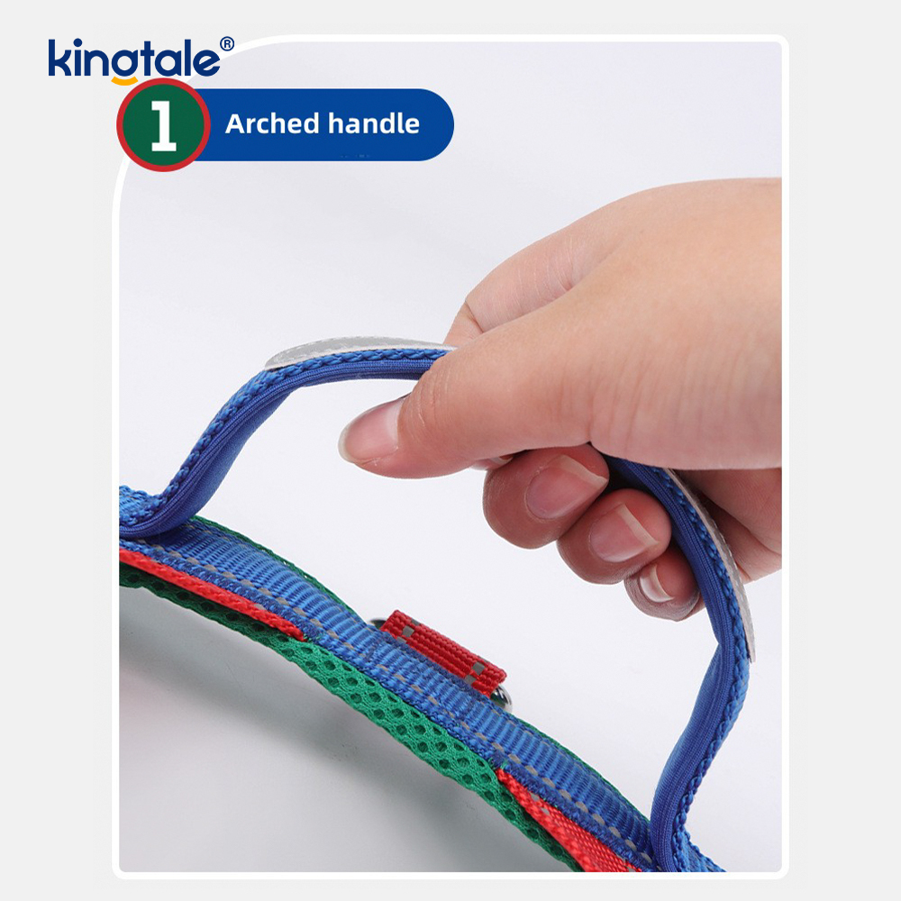 Conjunto de arnês para cães de estimação reflexivo de nylon ajustável por atacado personalizado