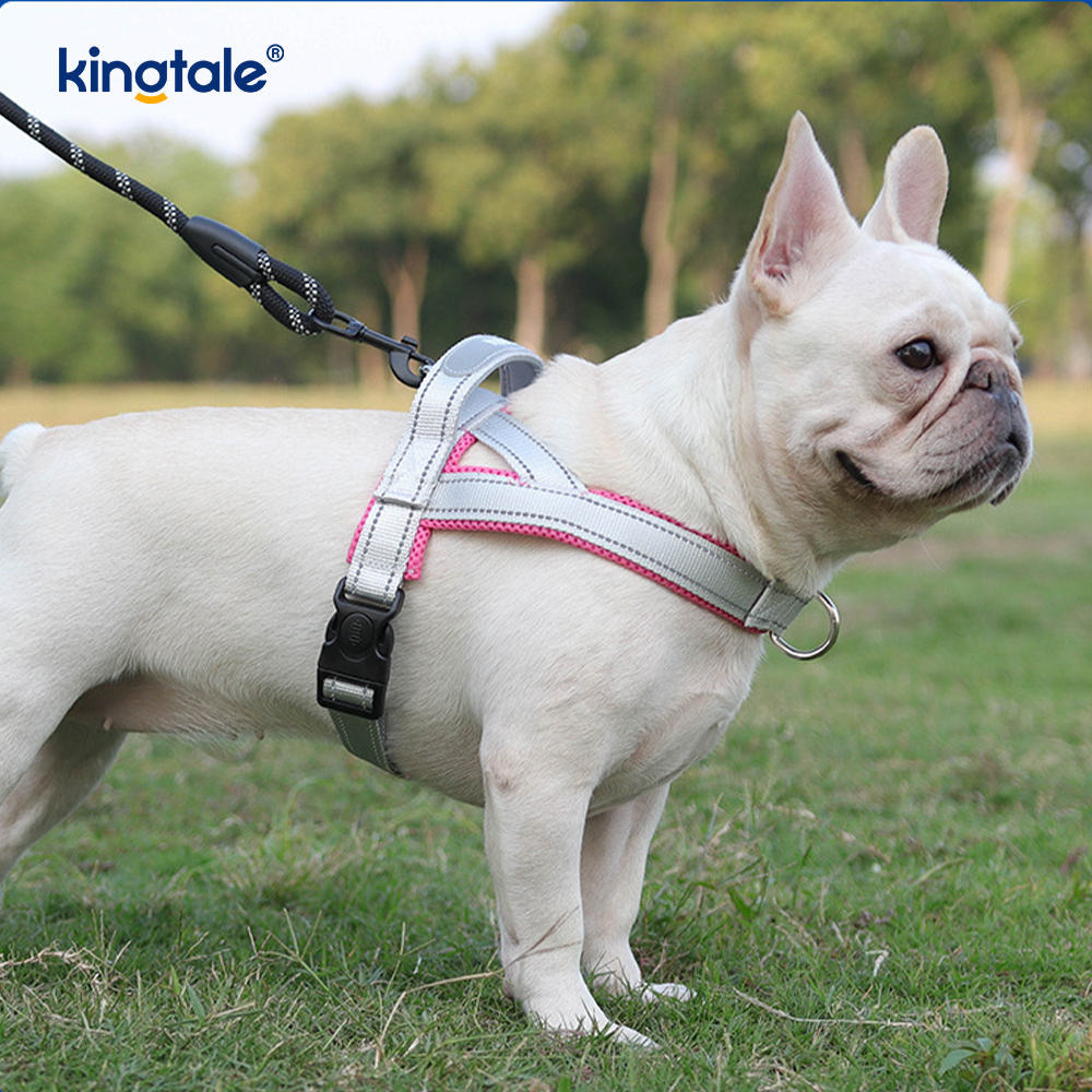 Conjunto de arnês para cães de estimação reflexivo de nylon ajustável por atacado personalizado