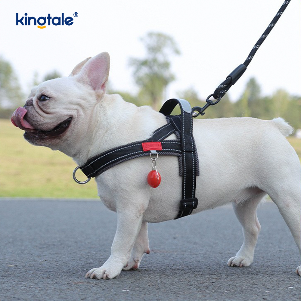 Conjunto de arnês para cães de estimação reflexivo de nylon ajustável por atacado personalizado