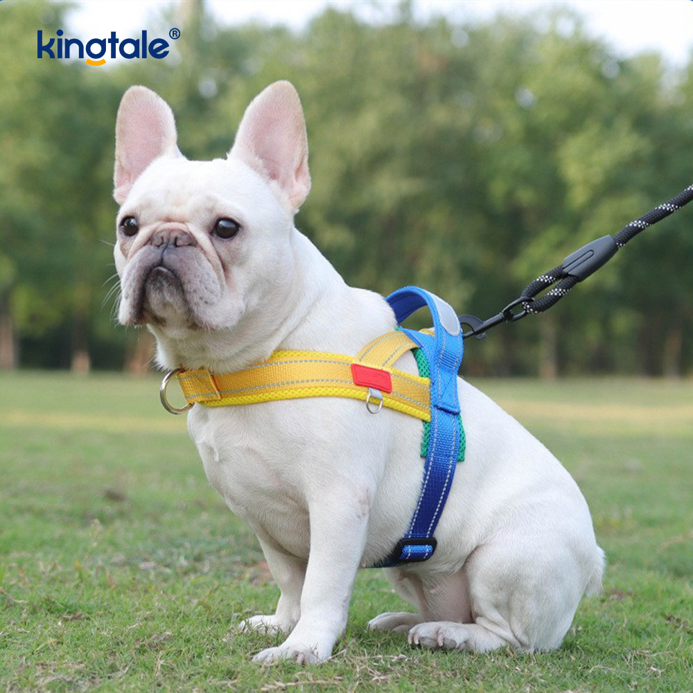 Conjunto de arnês para cães de estimação reflexivo de nylon ajustável por atacado personalizado
