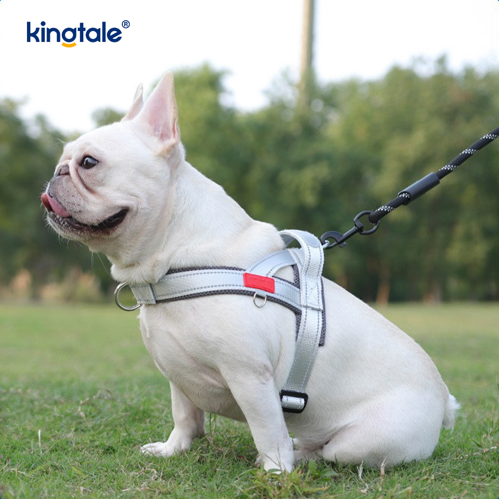 Conjunto de arnês para cães de estimação reflexivo de nylon ajustável por atacado personalizado