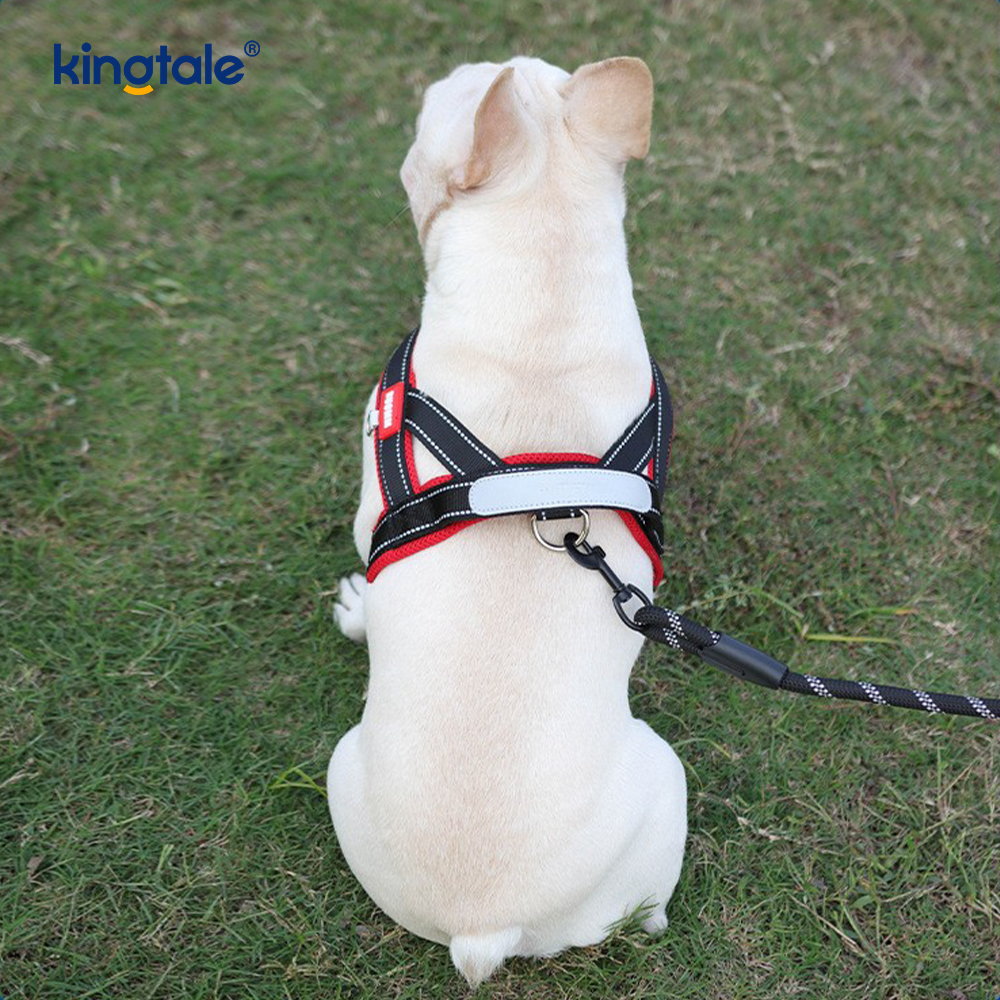 Conjunto de arnês para cães de estimação reflexivo de nylon ajustável por atacado personalizado