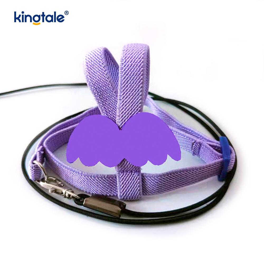 Conjunto de arnês e trela para papagaio de peônia com corda voadora ajustável personalizada