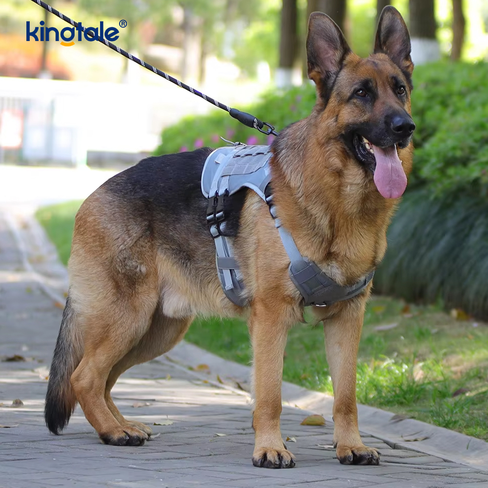 Chicote de fios ajustável respirável personalizado do cão da grande malha da veste resistente