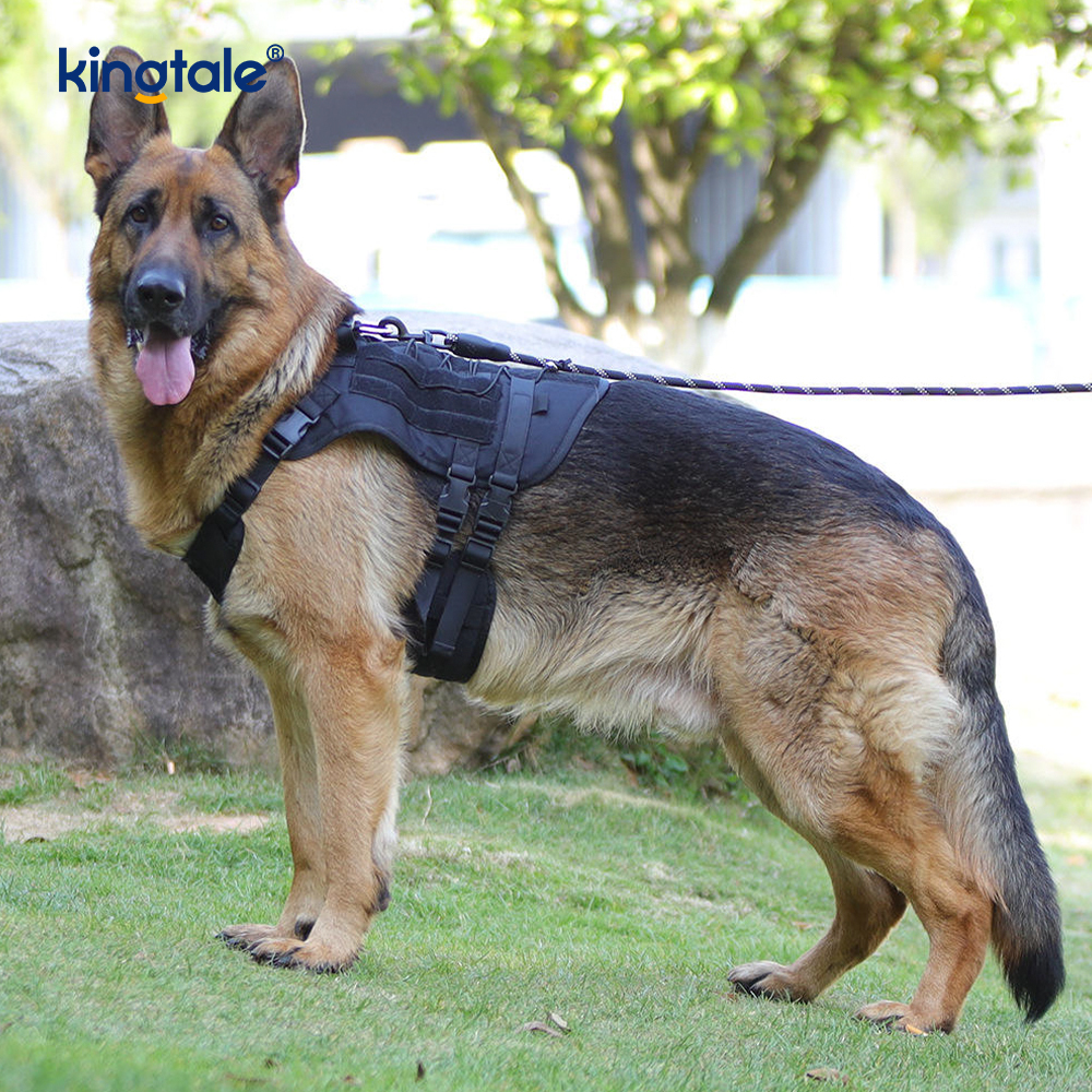 Chicote de fios ajustável respirável personalizado do cão da grande malha da veste resistente