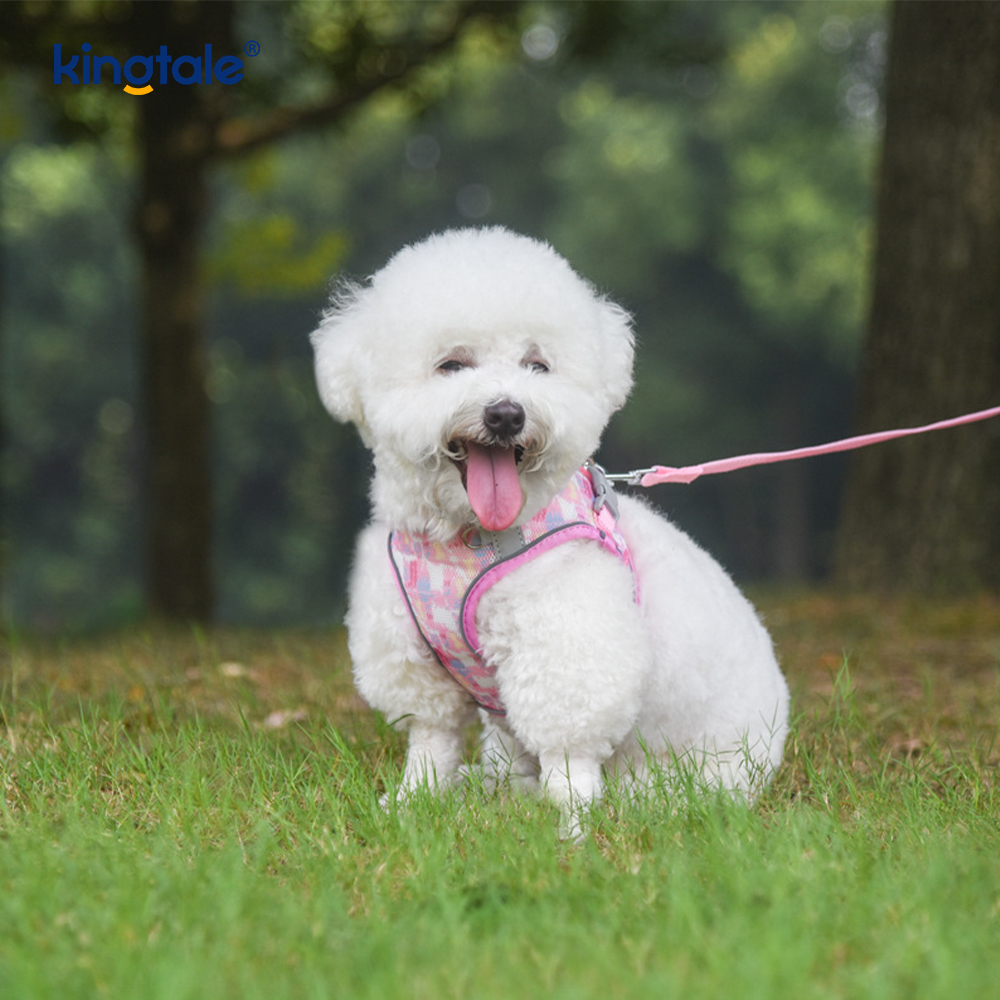 Coleira acolchoada estilo colete para animais de estimação, coleira reflexiva anti-choque para cães