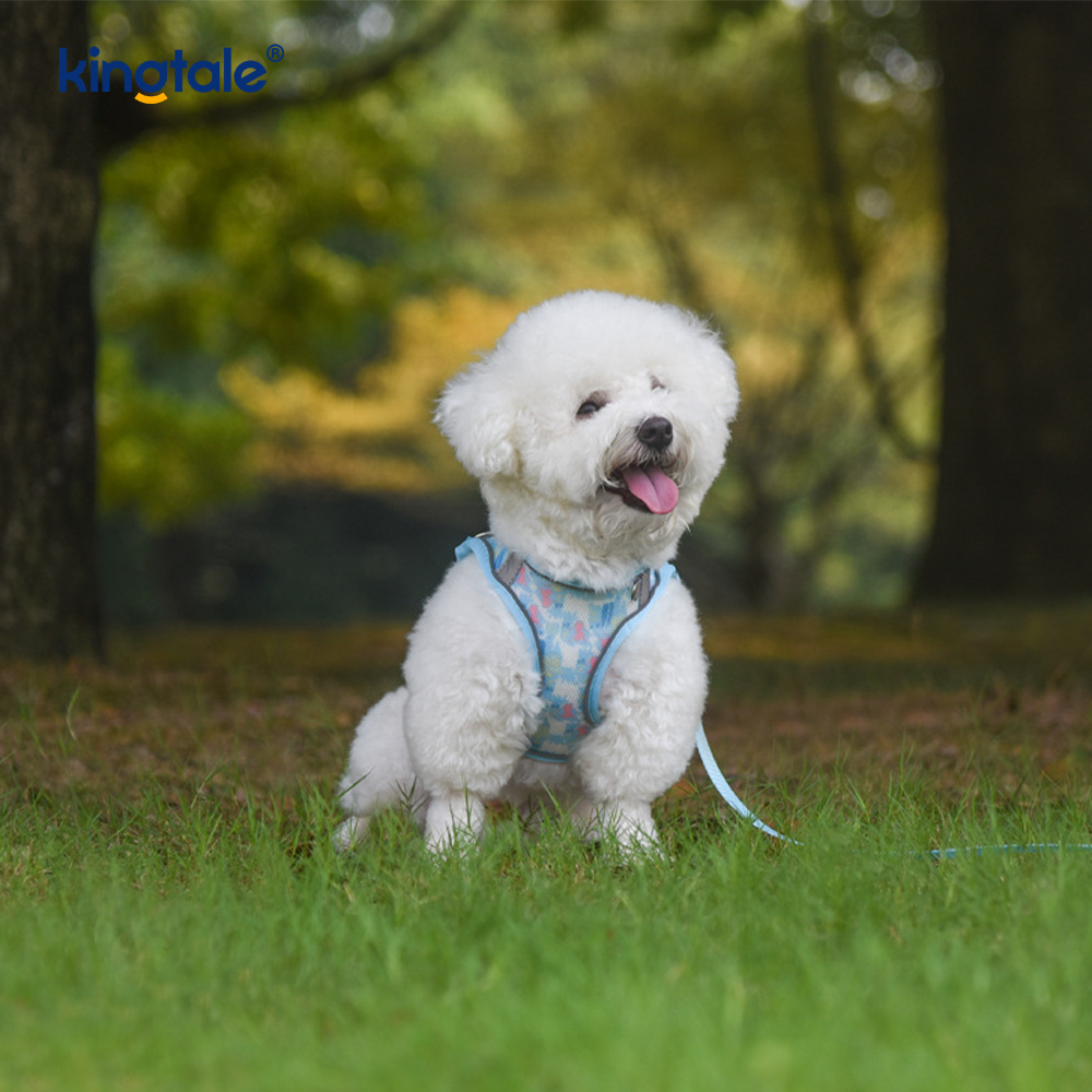 Coleira acolchoada estilo colete para animais de estimação, coleira reflexiva anti-choque para cães