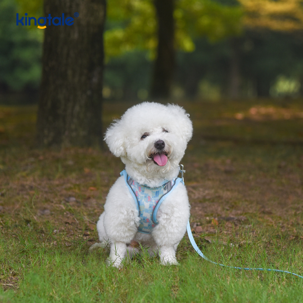 Coleira acolchoada estilo colete para animais de estimação, coleira reflexiva anti-choque para cães