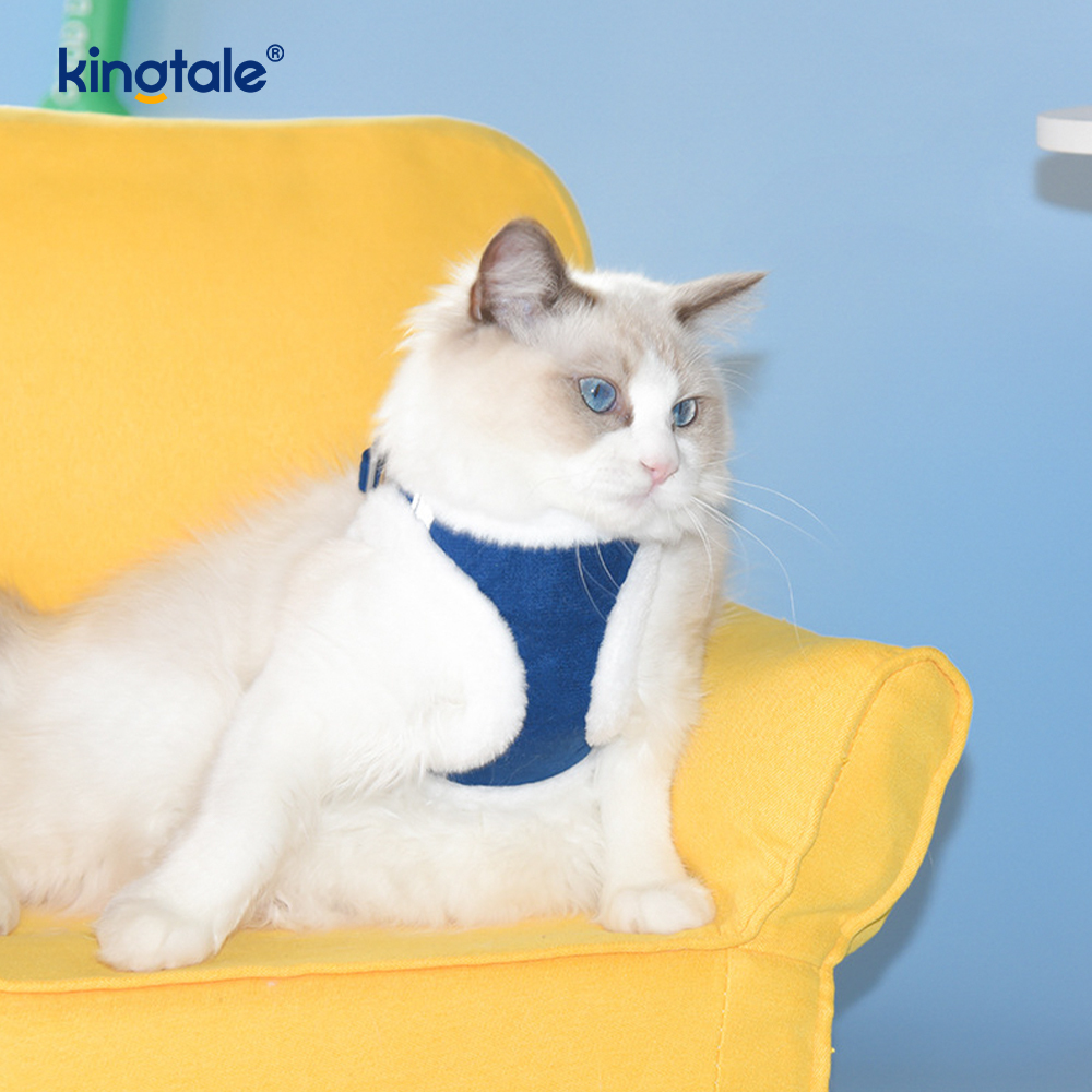 Coleira de pelúcia para cães de estimação, conjunto de coleira para cães de caminhada no outono