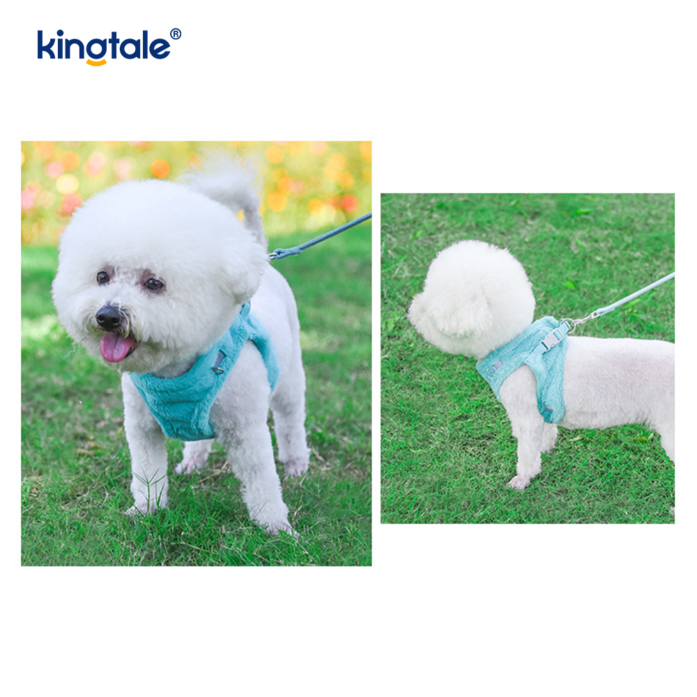 Coleira de pelúcia para cães de estimação, conjunto de coleira para cães de caminhada no outono