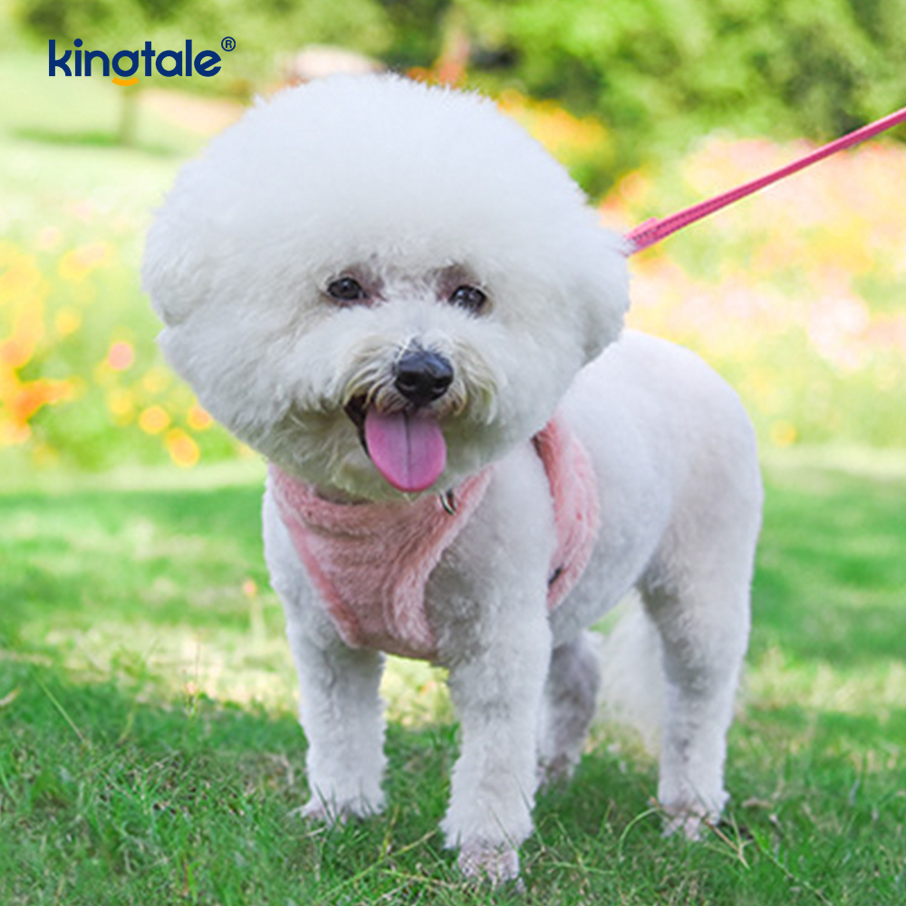 Coleira de pelúcia para cães de estimação, conjunto de coleira para cães de caminhada no outono