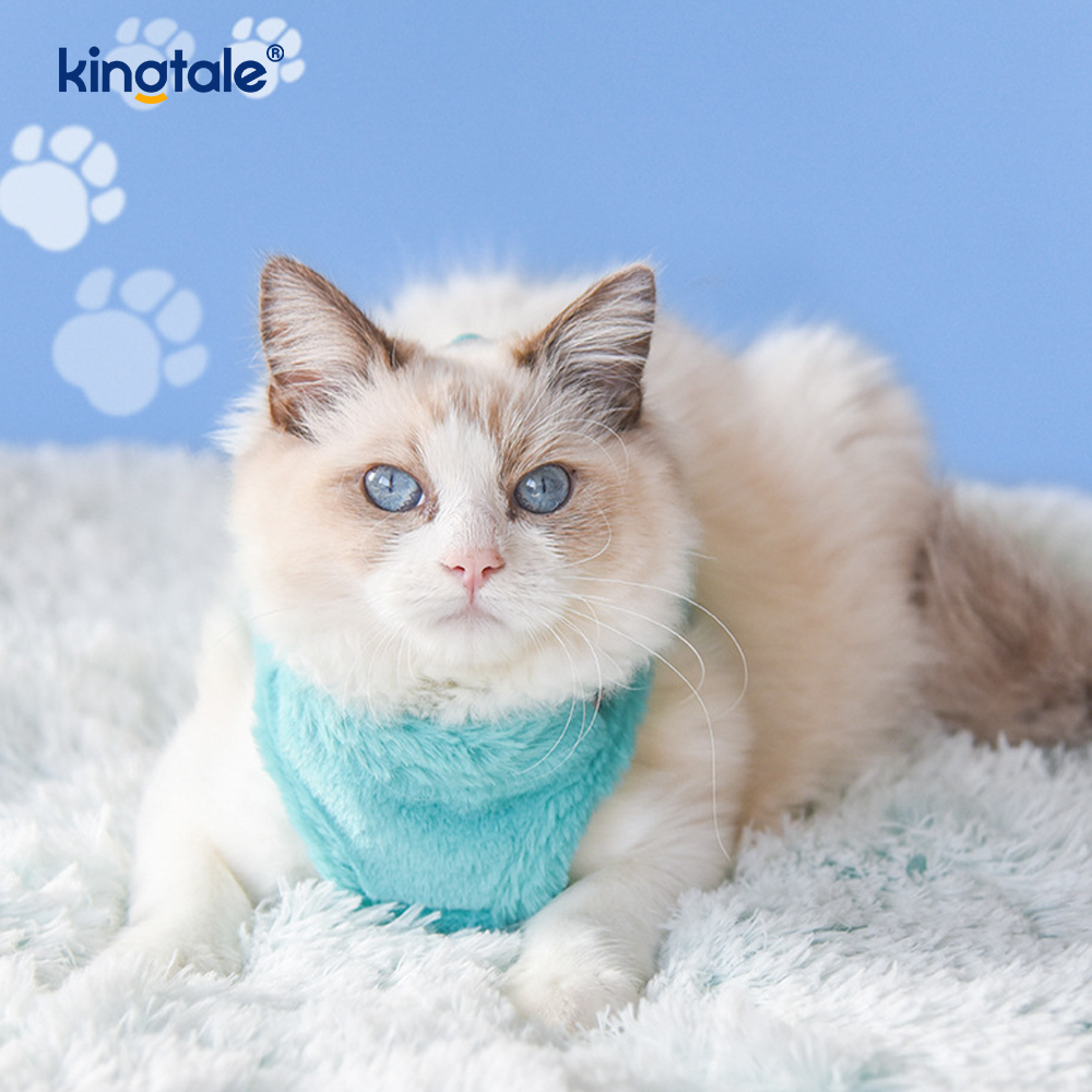 Coleira de pelúcia para cães de estimação, conjunto de coleira para cães de caminhada no outono