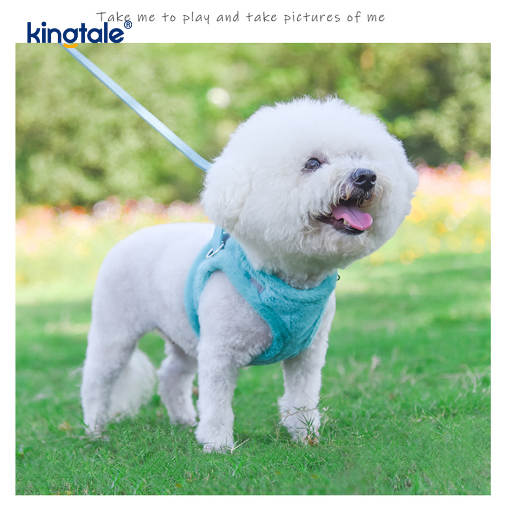 Coleira de pelúcia para cães de estimação, conjunto de coleira para cães de caminhada no outono