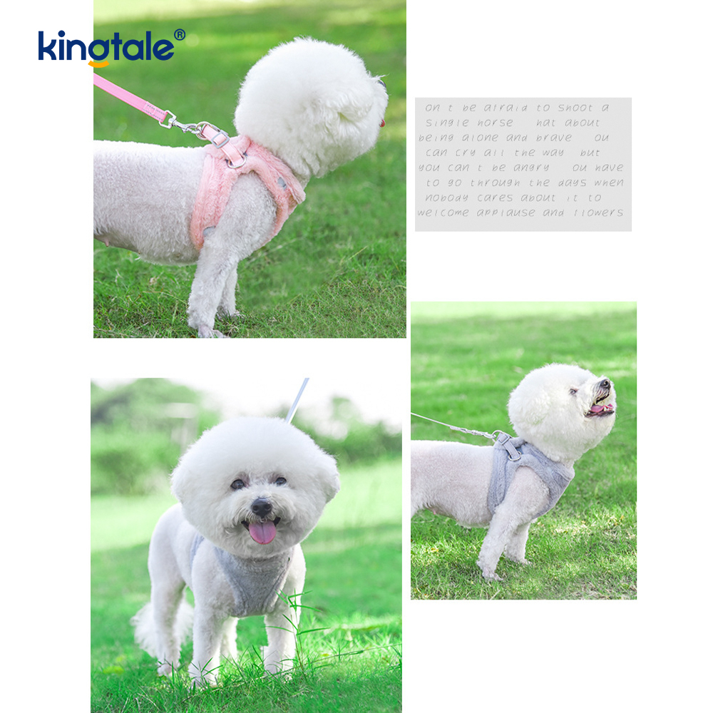 Coleira de pelúcia para cães de estimação, conjunto de coleira para cães de caminhada no outono