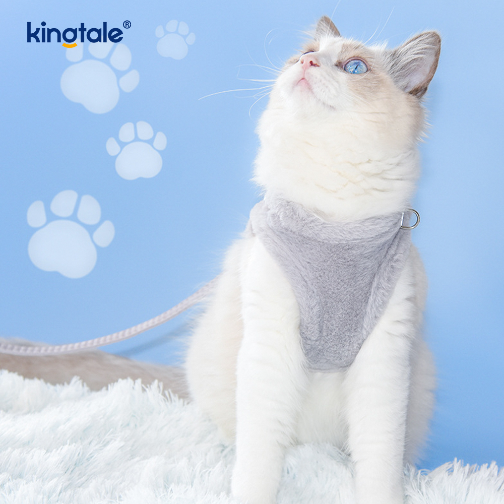 Coleira de pelúcia para cães de estimação, conjunto de coleira para cães de caminhada no outono
